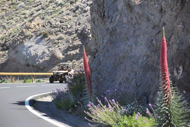 Buggy Safari Adventure 700cc - The Realities of the Tour Experience