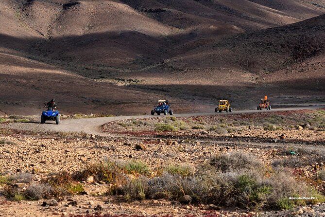 Buggy Safari in Caleta de Fuste - The Experience That Keeps Guests Coming Back