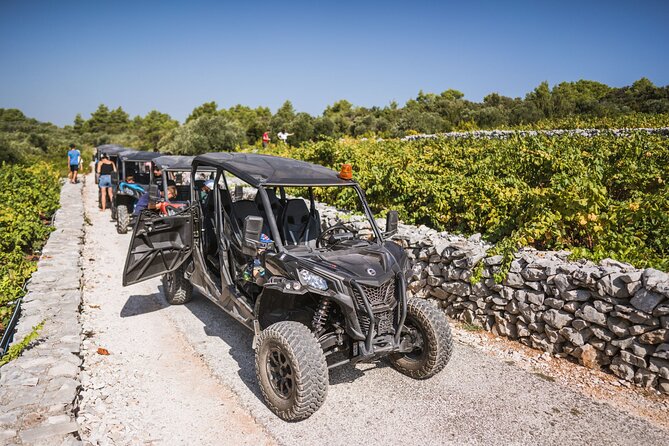 Buggy Safari With Wine Tasting - Key Points
