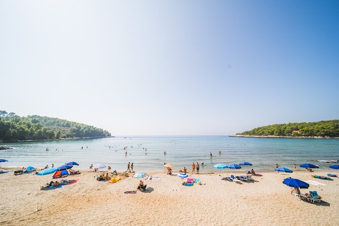 Buggy Safari With Wine Tasting - Meeting Point and Convenience