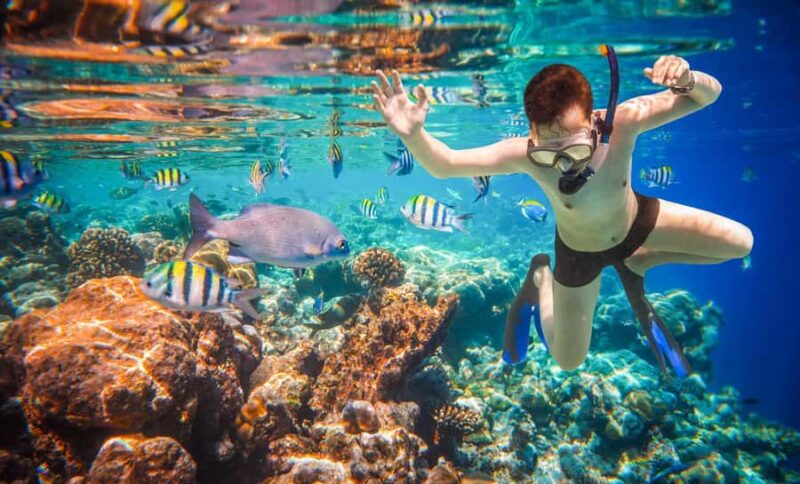 Buggy Tour of Cozumel Island - Chankanaab - Flexibility in the Itinerary and Custom Stops