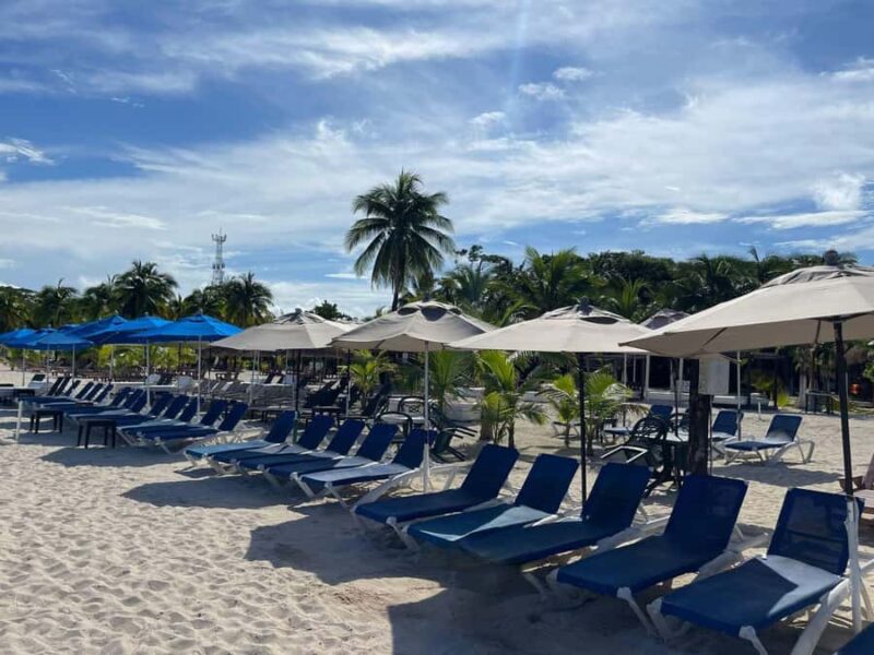 Buggy Tour of Cozumel Island - Chankanaab - Value and Booking Flexibility