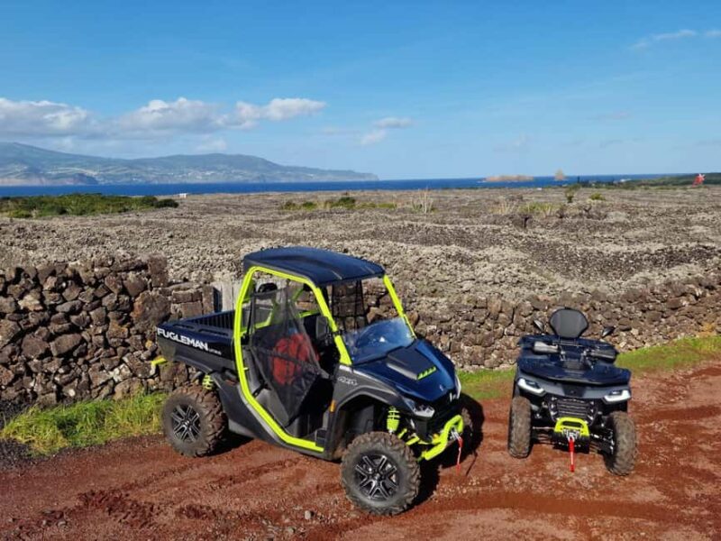 Buggy tour through the vineyards of Pico Island - Key Points