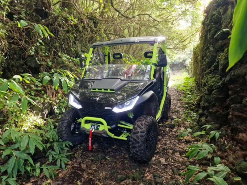 Buggy tour through the vineyards of Pico Island - Discover the Unique Vineyards of Pico from the Driver’s Seat