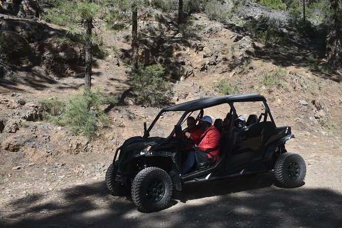Buggy tour to Teide in Tenerife - Why This Tour Excels for Families and Photo Enthusiasts