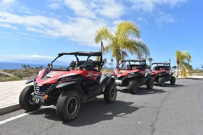 Buggy tour to Teide in Tenerife - Limitations and Considerations