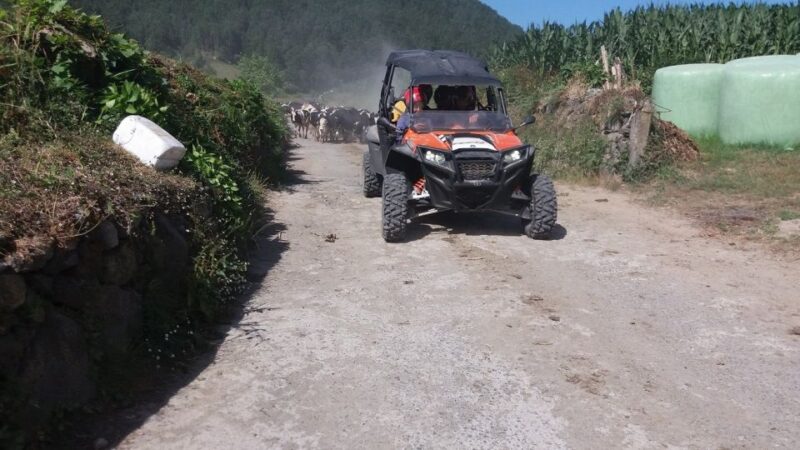Buggy|Quad|Jeep Coast to Coast Tour (Ribeira Grande) off 4x4 - Stops at Miradouro dos Aflitos and Batalha Golf Course