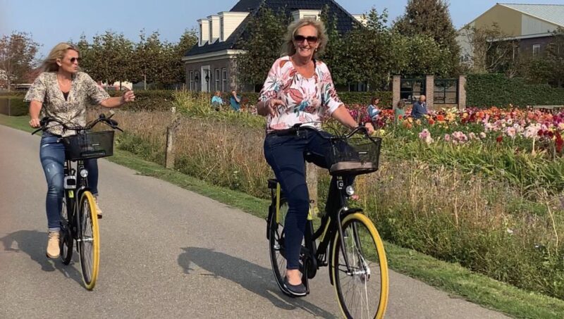 Bulb region: Dahlias Bicycle Tour - What to Expect During the Tour