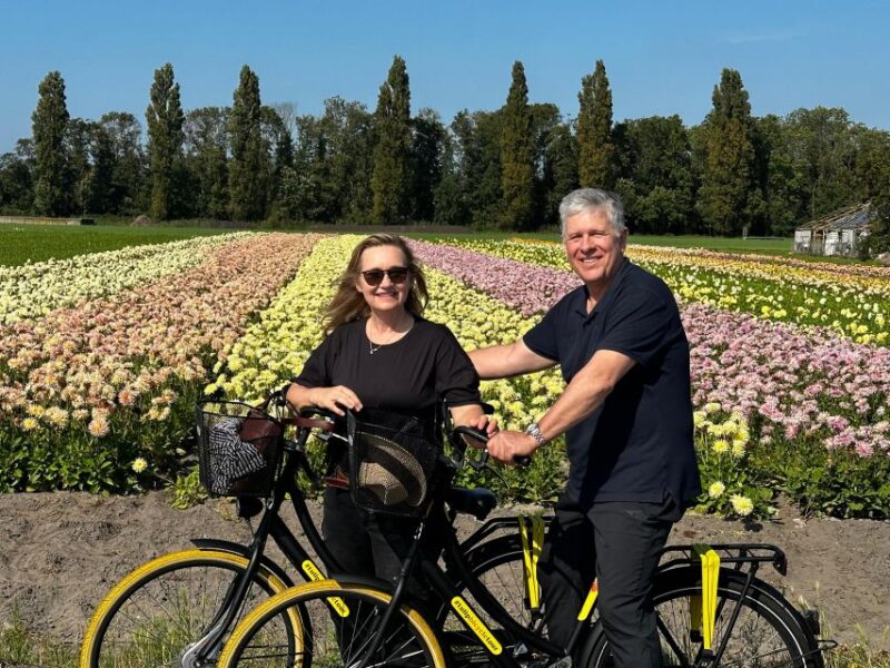 Bulb region: Dahlias Bicycle Tour - Considerations and Tips for Participants