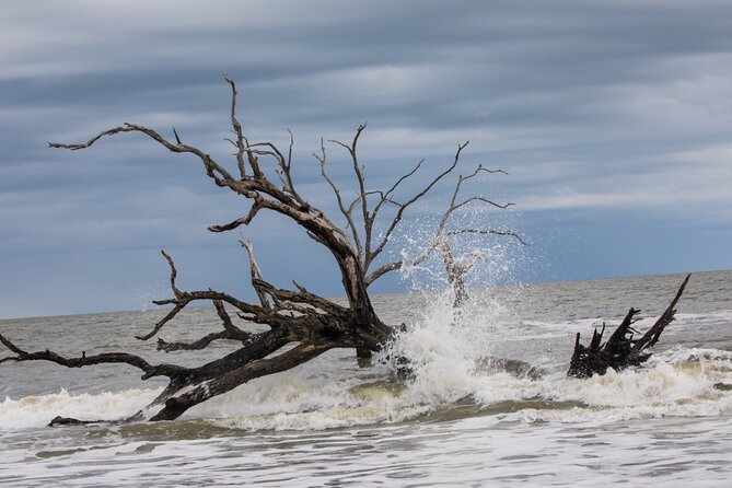 Bulls Island Ferry Adventure - Who Will Enjoy This Tour Most?