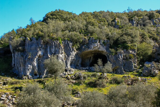Buracas do Casmilo Private Hiking Tour from Coimbra - The Experience of the Guide and Tour Quality