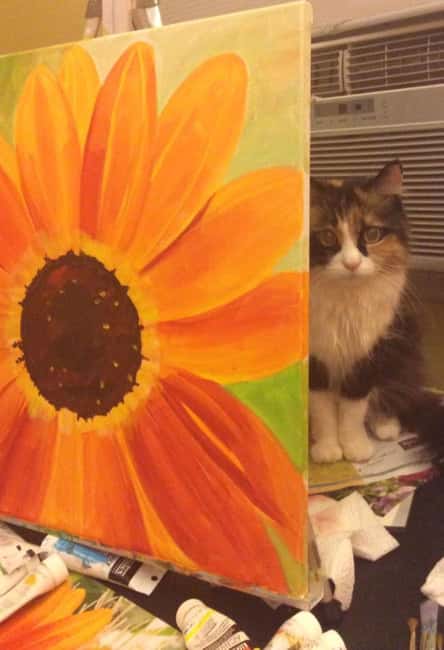 Burbank: Canvas Painting Workshop with Local Artist - Practical Details for Participants