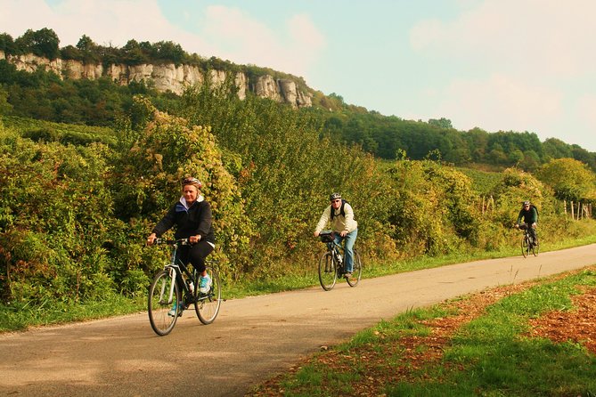 Burgundy Bike Tour with Wine Tasting from Beaune - Cycling Through Picturesque Burgundy Vineyards and Villages