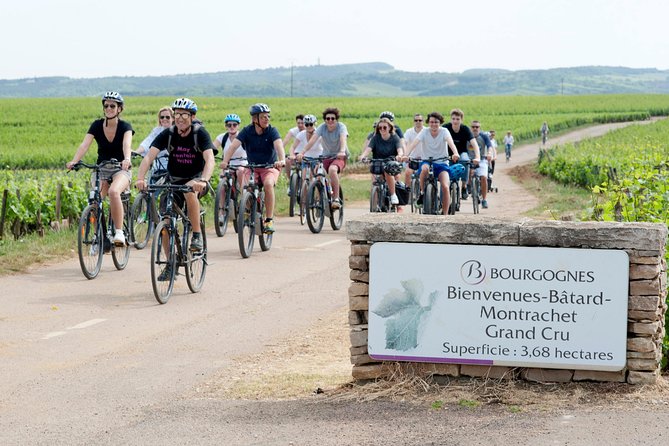 Burgundy Bike Tour with Wine Tasting from Beaune - Insider Access at Family-Run Wineries and Cellars