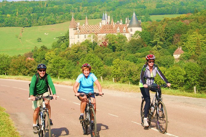 Burgundy Bike Tour with Wine Tasting from Beaune - The Scenic Return to Beaune with Optional E-Bike Assistance