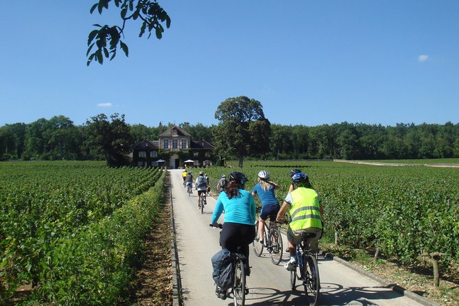 Burgundy Bike Tour with Wine Tasting from Beaune - Practical Details: Logistics, Group Size, and Weather Policy
