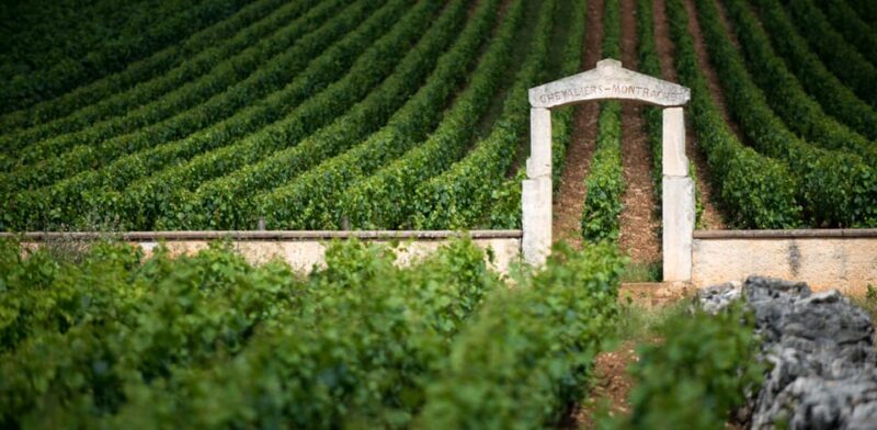 Burgundy Vineyards: Luxury Private Tours - Lunch in Burgundy: Family-Run Estate or Vineyard Restaurant