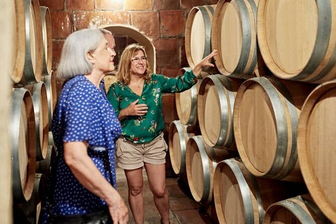 Burgundy wine tour - Private tour with professional tour guide ! - Key Points