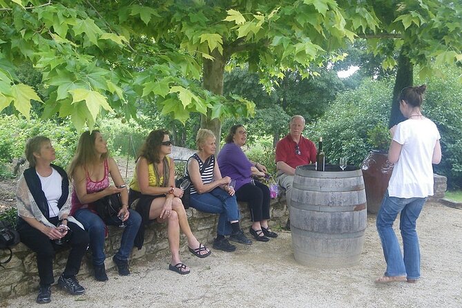 Burgundy wine tour - Private tour with professional tour guide ! - Touring Beaune and Its Underground Cellars