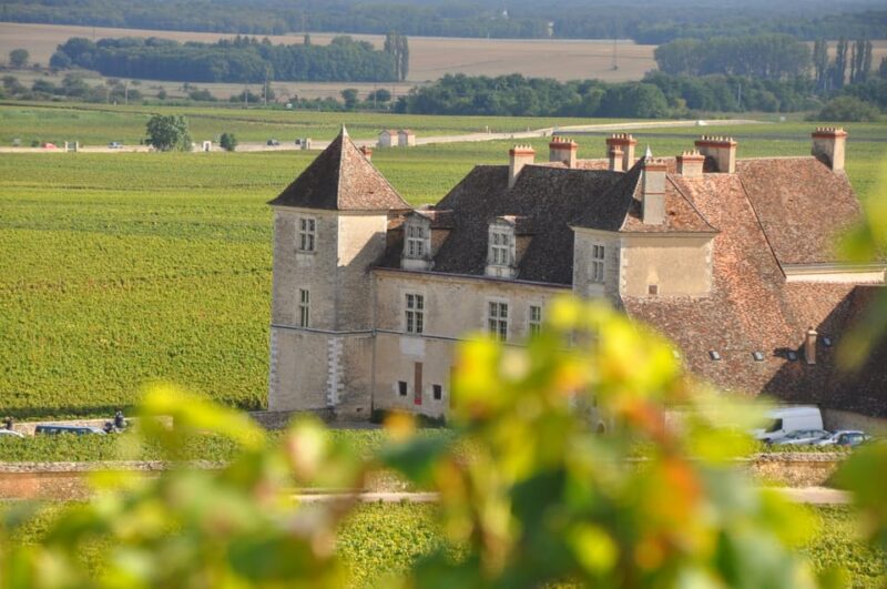 Burgundy Wines Full-Day Tasting Tour from Dijon - Burgundys Best Wines and Vineyards in One Day