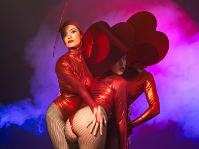 Burlesque Dinner Club in Vienna - Who Will Love the Burlesque Dinner Club?