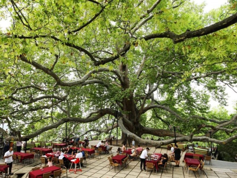 Bursa Full Day Sightseeing Tour from Istanbul - The Experience from a Review Perspective