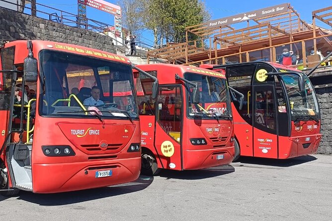 Bus Etna Experience of Italy - The Realities of the Experience: Positives and Limitations
