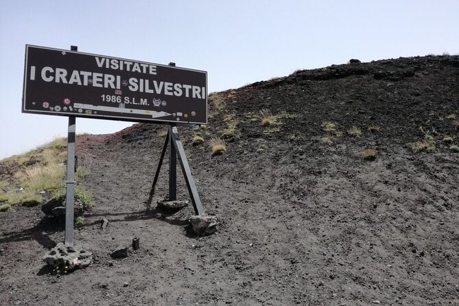 Bus Etna Experience of Italy - Who Will Enjoy This Tour Most?