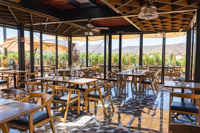 Bus Wine Tour by Ansell Tours - Italian Wines at Villa Montefiori