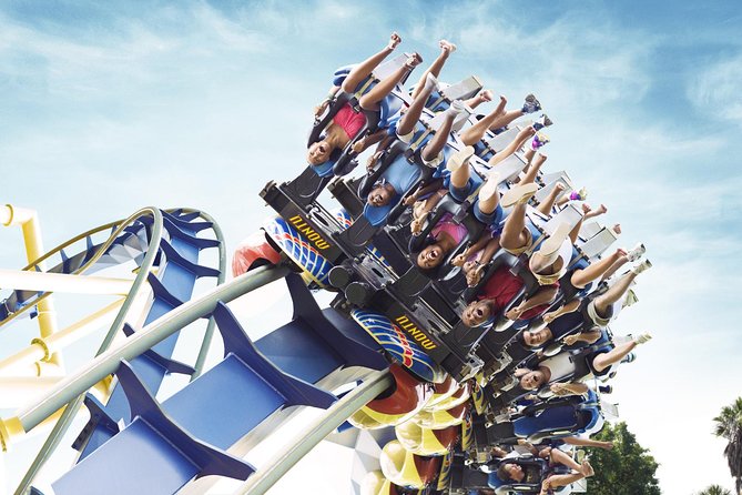 Busch Gardens Tampa Bay Admission Ticket - Riding SheiKra and Other Thrill Attractions