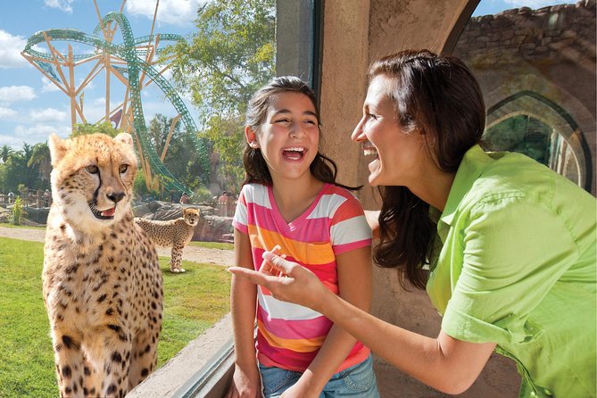 Busch Gardens Tampa Bay Admission Ticket - Navigating the Park: Practical Tips