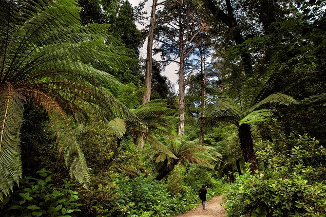 Bussaco Palace, Gardens & Forest - Who Will Benefit Most from This Tour