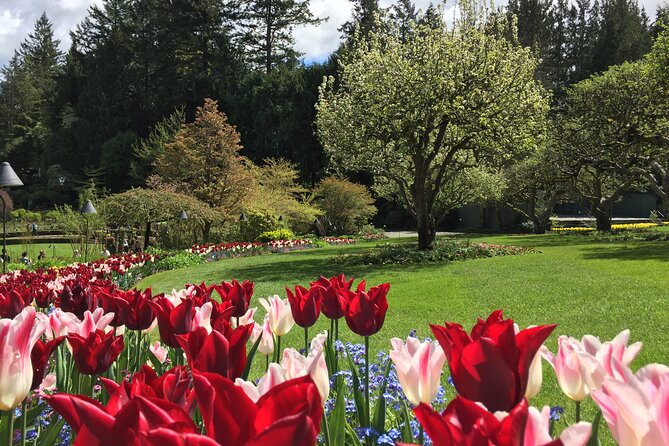 Butchart & Beyond: The Grand Victoria Tour - Flexibility and Personalization: Tailoring the Tour to Your Interests