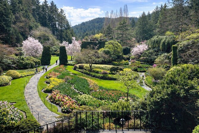 Butchart Gardens Spring & Summer Bloom Highlights (1-6pax) - Experience the Stunning Blooms of Butchart Gardens with a Private Guided Tour