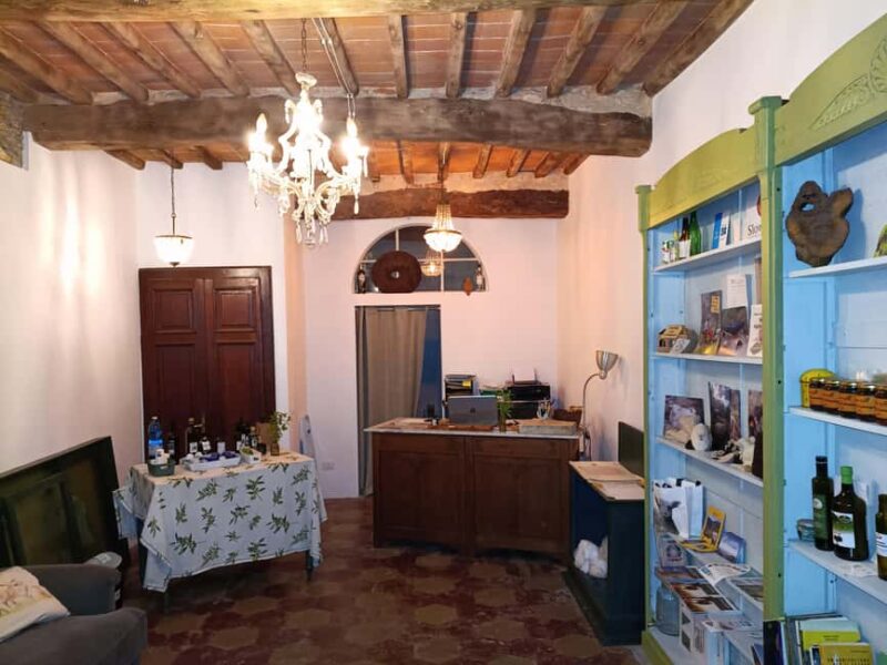 Buti: Olive Oil Ancient Mill Tour and Tasting Experience - The Experience at Oleoteca di Buti