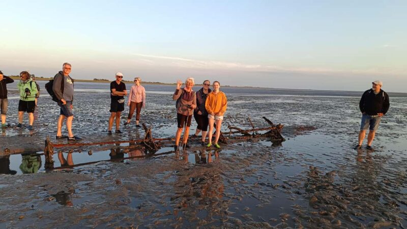 Butjadingen: Guided mudflat hike in the World Heritage Site - Explore the Unique Mudflat Ecosystem of Butjadingen