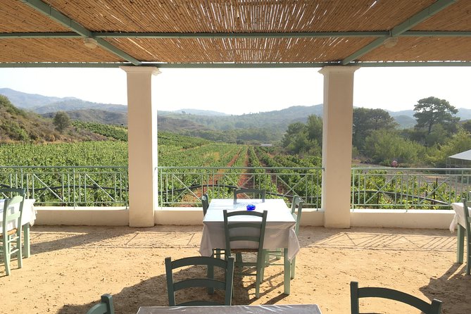 Butterflies Valley & Wine Tasting Experience Private Tour - Discovering Butterfly Valley in Rhodes