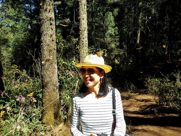Butterfly Monarch Tour from Mexico City - Authentic Mexican Lunch and Cultural Touches