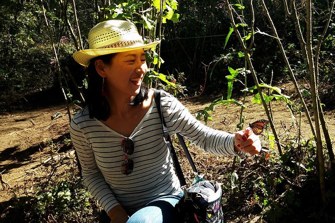 Butterfly Monarch Tour from Mexico City - Who Will Love This Tour
