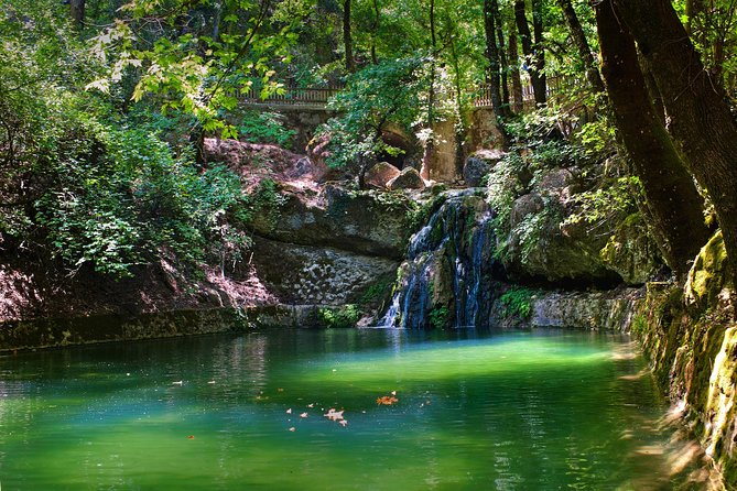 Butterfly Valley & Wine, Olive Oil, Honey Tasting Tour (Small Group) - Wine Tasting at the Olive Oil and Honey Spot