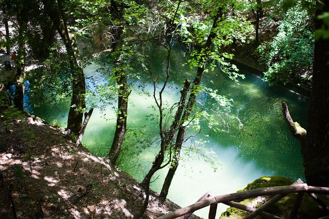 Butterfly Valley & Wine, Olive Oil, Honey Tasting Tour (Small Group) - The Guide: Knowledgeable and Friendly