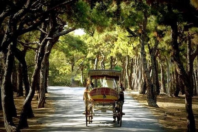 Buyukada Princes Island Guided Day Tour with lunch from Istanbul - Free Time: Beaches, Shops, and Coastal Cafés