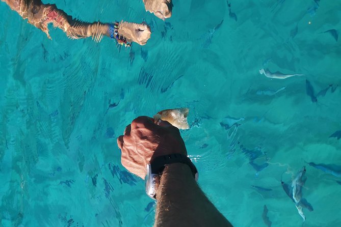 By boat between the sea and the most beautiful beaches! Capo Vaticano - Tropea - Briatico - Physical Requirements and Accessibility