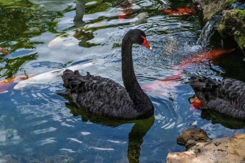 By Brother's Park: 1Hr ATV Ride, Park Entry, Pizza & Drink - Brothers Park ATV Tour: Final Thoughts