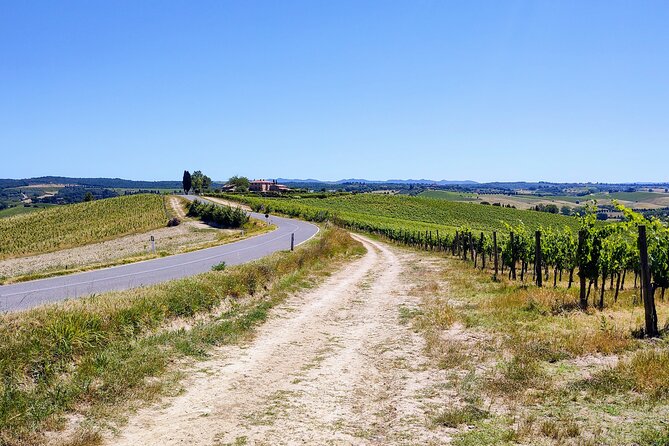 By Ebike: Visit an Art Park and Wine Taste in the Classic Chianti - Key Points