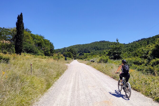 By Ebike: Visit an Art Park and Wine Taste in the Classic Chianti - Wine Tasting at Scopeto Winery