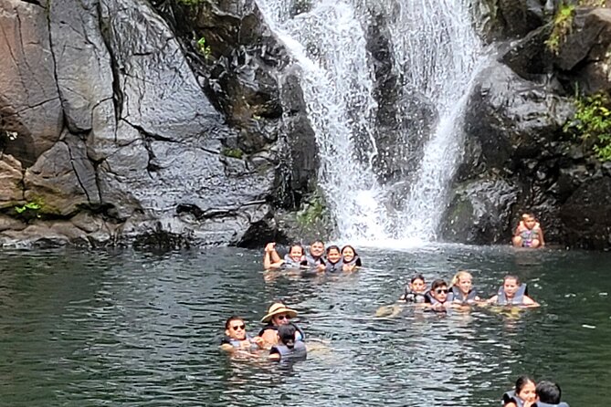 Byodo Temple and Waimea Botanical Garden Tour - Honolulus Vibrant Waikiki and Surroundings