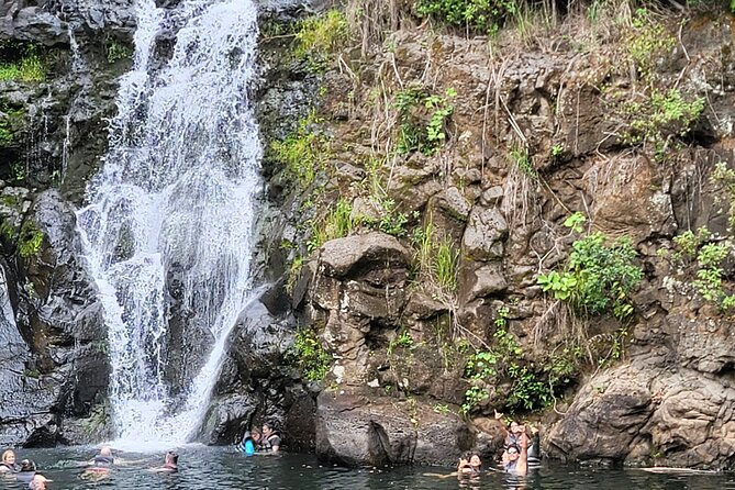 Byodo Temple and Waimea Botanical Garden Tour - Waimea Botanical Garden and Waterfall