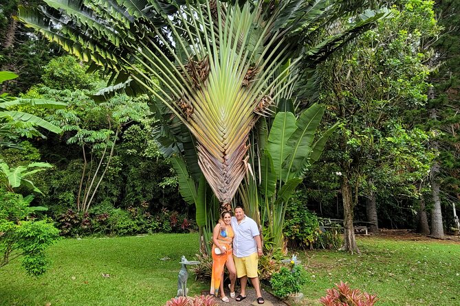 Byodo Temple and Waimea Botanical Garden Tour - Group Size, Transportation, and Guide Experience