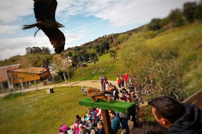 Cabarceno Natural Park Visit - Practical Tips for Visiting Cabarceno Natural Park